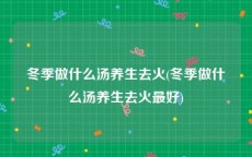 冬季做什么汤养生去火(冬季做什么汤养生去火最好)