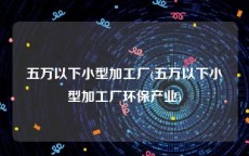 五万以下小型加工厂(五万以下小型加工厂环保产业)