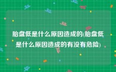 胎盘低是什么原因造成的(胎盘低是什么原因造成的有没有危险)