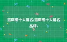 湿厕纸十大排名(湿厕纸十大排名品牌)
