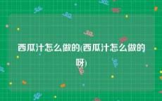 西瓜汁怎么做的(西瓜汁怎么做的呀)