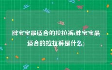 胖宝宝最适合的拉拉裤(胖宝宝最适合的拉拉裤是什么)