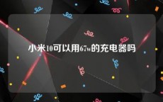 小米10可以用67w的充电器吗