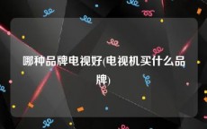 哪种品牌电视好(电视机买什么品牌)