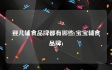 婴儿辅食品牌都有哪些(宝宝辅食品牌)