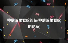种庭院里驱蚊的花(种庭院里驱蚊的花草)