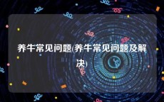 养牛常见问题(养牛常见问题及解决)