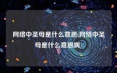 网络中圣母是什么意思(网络中圣母是什么意思啊)