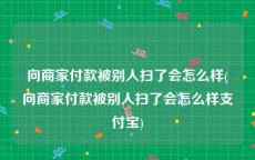 向商家付款被别人扫了会怎么样(向商家付款被别人扫了会怎么样支付宝)