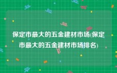 保定市最大的五金建材市场(保定市最大的五金建材市场排名)