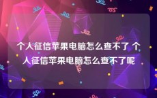 个人征信苹果电脑怎么查不了 个人征信苹果电脑怎么查不了呢