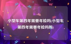 小型车第四年需要年检吗(小型车第四年需要年检吗吗)