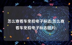 怎么查看车免检电子标志(怎么查看车免检电子标志图片)