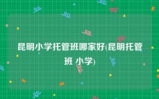 昆明小学托管班哪家好(昆明托管班 小学)