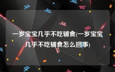 一岁宝宝几乎不吃辅食(一岁宝宝几乎不吃辅食怎么回事)