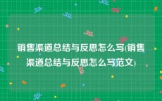 销售渠道总结与反思怎么写(销售渠道总结与反思怎么写范文)