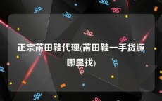 正宗莆田鞋代理(莆田鞋一手货源哪里找)
