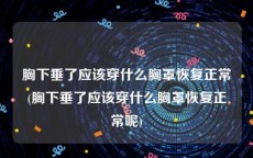 胸下垂了应该穿什么胸罩恢复正常(胸下垂了应该穿什么胸罩恢复正常呢)
