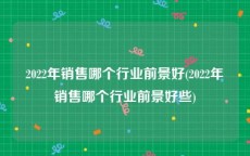 2022年销售哪个行业前景好(2022年销售哪个行业前景好些)