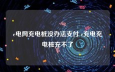 e电网充电桩没办法支付 e充电充电桩充不了