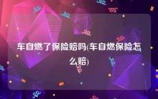 车自燃了保险赔吗(车自燃保险怎么赔)