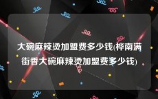 大碗麻辣烫加盟费多少钱(桦南满街香大碗麻辣烫加盟费多少钱)