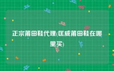 正宗莆田鞋代理(匡威莆田鞋在哪里买)