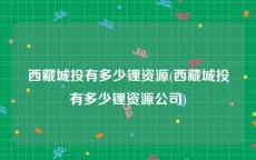西藏城投有多少锂资源(西藏城投有多少锂资源公司)