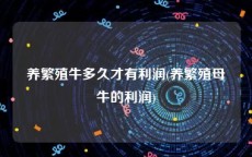 养繁殖牛多久才有利润(养繁殖母牛的利润)
