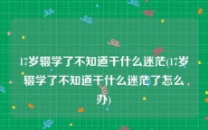 17岁辍学了不知道干什么迷茫(17岁辍学了不知道干什么迷茫了怎么办)