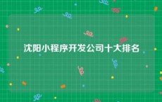 沈阳小程序开发公司十大排名