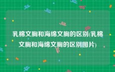 乳棉文胸和海绵文胸的区别(乳棉文胸和海绵文胸的区别图片)
