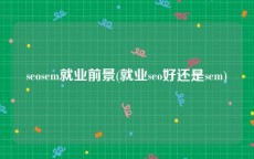 seosem就业前景(就业seo好还是sem)