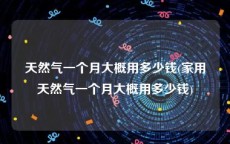 天然气一个月大概用多少钱(家用天然气一个月大概用多少钱)