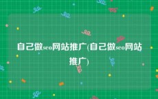 自己做seo网站推广(自己做seo网站推广)