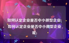 如何认定企业是否中小微型企业(如何认定企业是否中小微型企业呢)