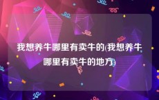 我想养牛哪里有卖牛的(我想养牛哪里有卖牛的地方)