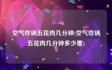 空气炸锅五花肉几分钟(空气炸锅五花肉几分钟多少度)