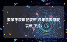 浪琴手表原配表带(浪琴手表原配表带,正片)
