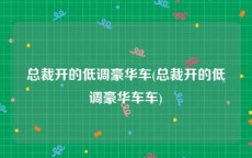 总裁开的低调豪华车(总裁开的低调豪华车车)