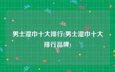 男士湿巾十大排行(男士湿巾十大排行品牌)