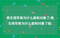 男生用苹果为什么都有对象了(男生用苹果为什么都有对象了呢)
