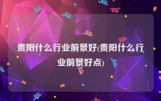 贵阳什么行业前景好(贵阳什么行业前景好点)