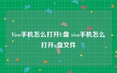 Vivo手机怎么打开U盘 vivo手机怎么打开u盘文件