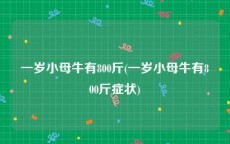 一岁小母牛有800斤(一岁小母牛有800斤症状)