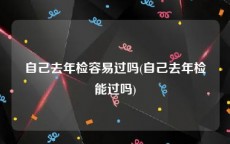 自己去年检容易过吗(自己去年检能过吗)