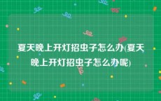 夏天晚上开灯招虫子怎么办(夏天晚上开灯招虫子怎么办呢)