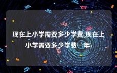 现在上小学需要多少学费(现在上小学需要多少学费一年)
