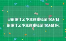 目前做什么小生意赚钱菜市场(目前做什么小生意赚钱菜市场最多)