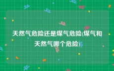 天然气危险还是煤气危险(煤气和天然气哪个危险)